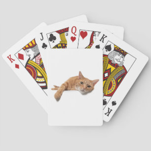 Orange Katt, nedåt Casinokort