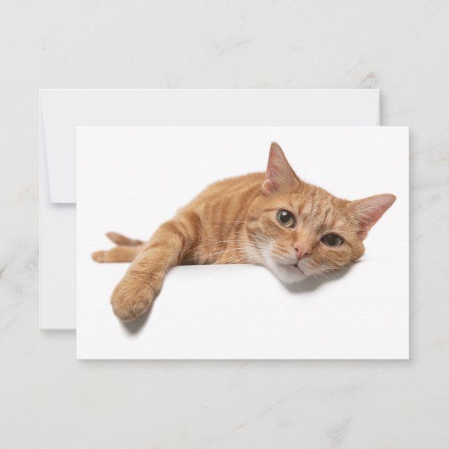 Orange Katt, nedåt Inbjudningar (Framsida)