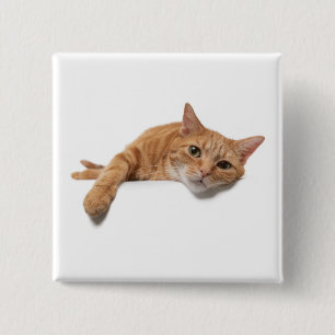 Orange Katt, nedåt Knapp