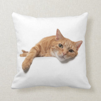 Orange Katt, nedåt Kudde