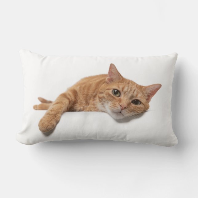 Orange Katt, nedåt Lumbarkudde (Framsida)