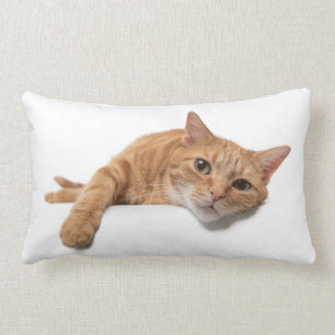 Orange Katt, nedåt Lumbarkudde