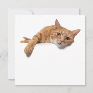 Orange Katt, nedåt Meddelande
