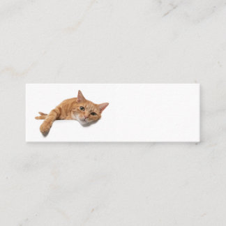 Orange Katt, nedåt Mini Visitkort