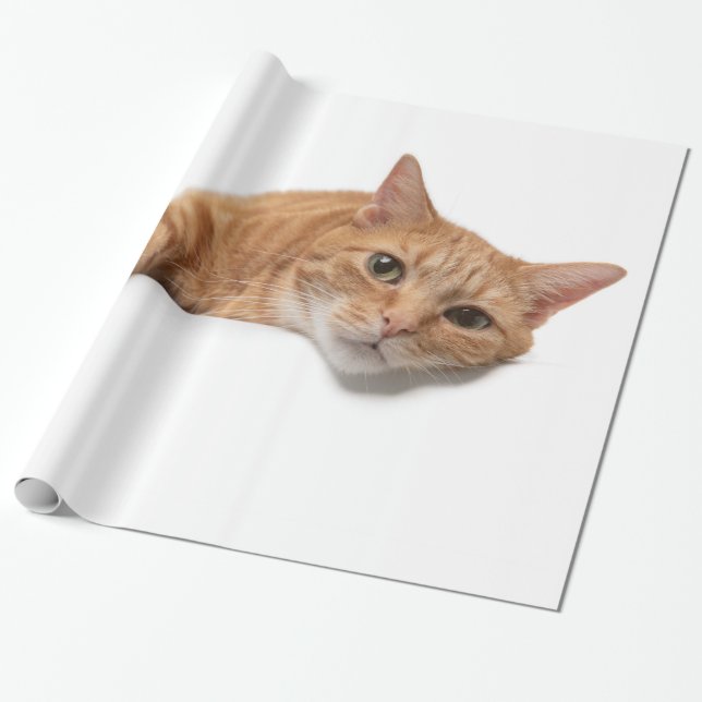 Orange Katt, nedåt Presentpapper (Utrullad)