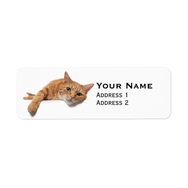 Orange Katt, nedåt Returadress Etikett (Framsidan)