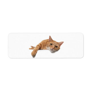 Orange Katt, nedåt Returadress Etikett