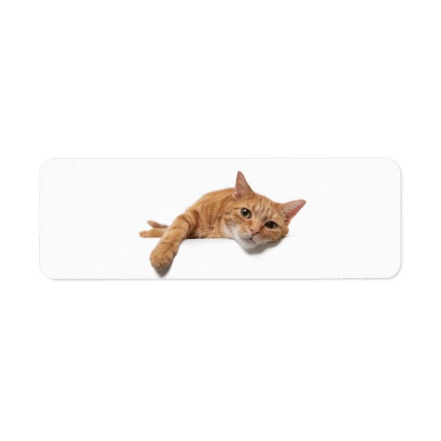 Orange Katt, nedåt Returadress Etikett (Framsidan)