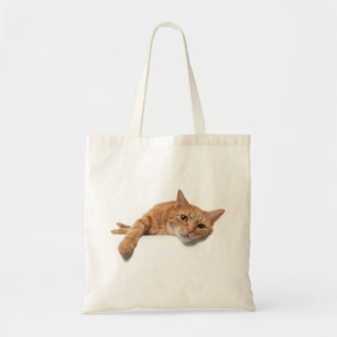 Orange Katt, nedåt Tygkasse