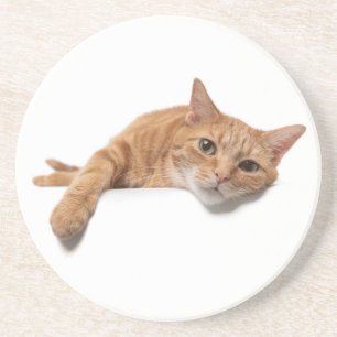 Orange Katt, nedåt Underlägg