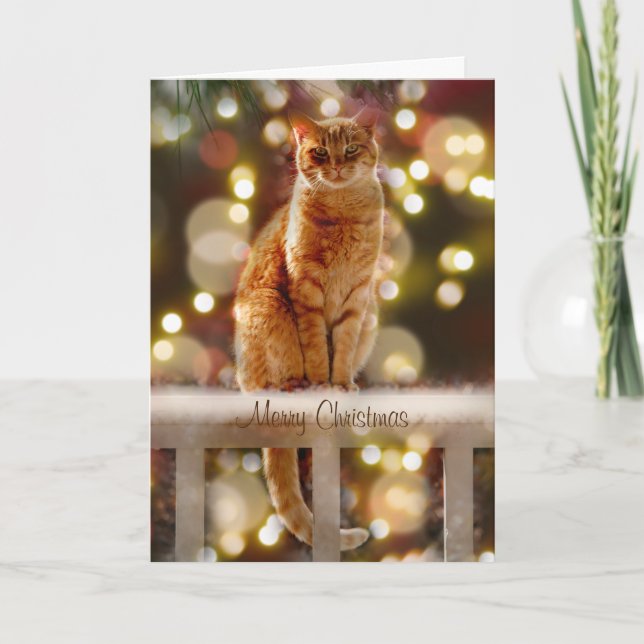 Orange Katt på en stängsel med julklapp Ljus Kort (Framsida)