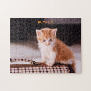 Orange katt på ett husdjursfartyg/Orange Kitten Pussel