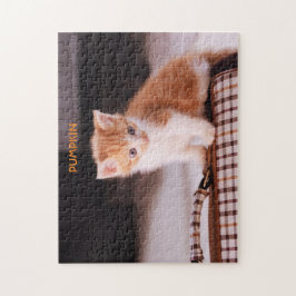 Orange katt på ett husdjursfartyg/Orange Kitten Pussel