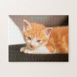 Orange Katt på svart ottoman/Orange Kitten Pussel