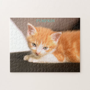 Orange Katt på svart ottoman/Orange Kitten Pussel