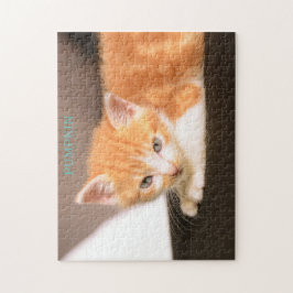 Orange Katt på svart ottoman/Orange Kitten Pussel