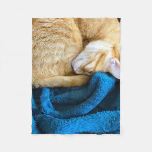 Orange katt som krullas upp på filten fleecefilt