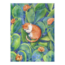 Orange katt sover bland blommande kaktusar finkons