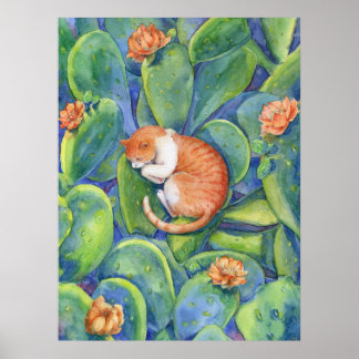 Orange katt sover bland blommande kaktusar finkons poster
