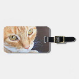 Orange kattcloseup bagagebricka