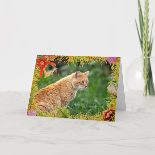 Orange Kattjulkort Kort (Framsida)