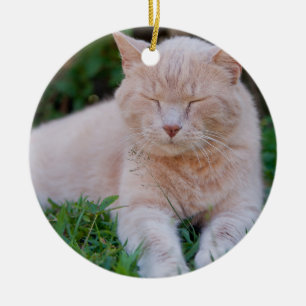 Orange kattprydnad julgransprydnad keramik