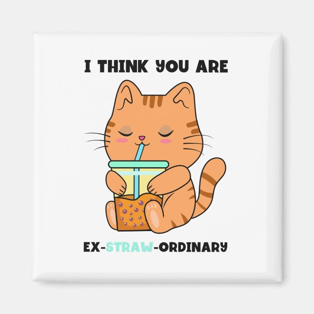 Orange kattunge du är utomordentlig söt boba magnet (Framsidan)