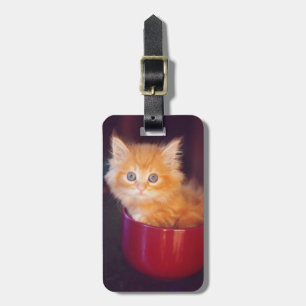 Orange kattunge i en röd mugg bagagebricka