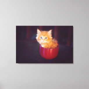 Orange kattunge i en röd mugg canvastryck