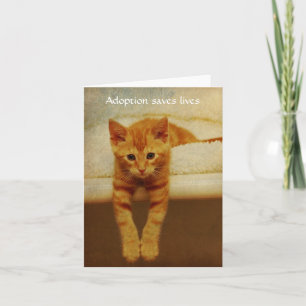 Orange kattunge Notecard för adoptionsparaliv Kort