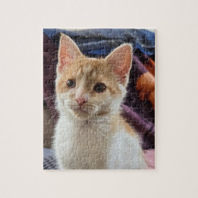 Orange kattunge pussel (Vertikal)