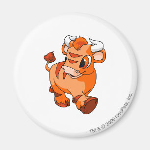 Orange Kau Magnet