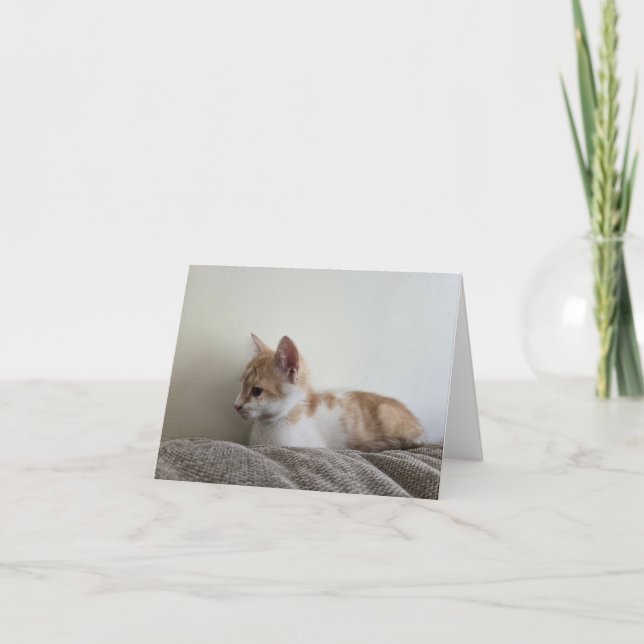 Orange kittelunge tack kort (Framsida)