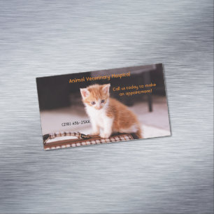 Orange Kitten Djuromsorg Services Möte Magnetiska Visitkort