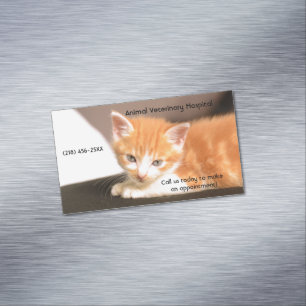 Orange Kitten Djuromsorg Services Möte Magnetiska Visitkort