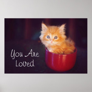 Orange Kitten i Röda Mugg Poster