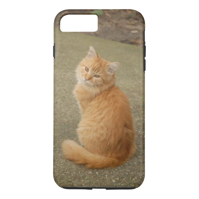 Orange Kitten Photo Case-Mate iPhone Skal (Baksida)