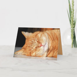 Orange Kitty Katt Söt Anpassningsbar Kort