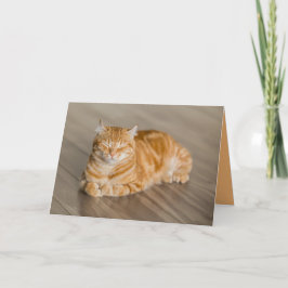 Orange Kitty Katt Söt Anpassningsbar Kort