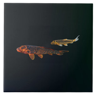 Orange Koi och Guld Koi Kakelplatta