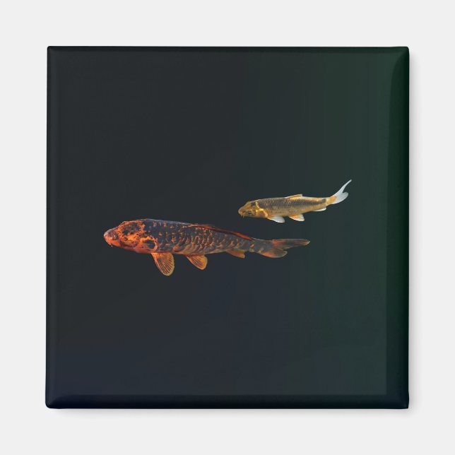 Orange Koi och Guld Koi Magnet (Framsidan)