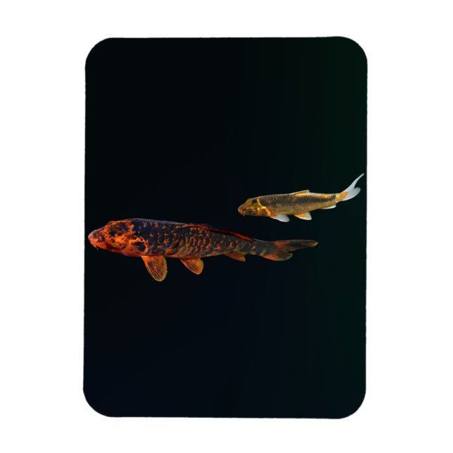 Orange Koi och Guld Koi Magnet (Vertikal)