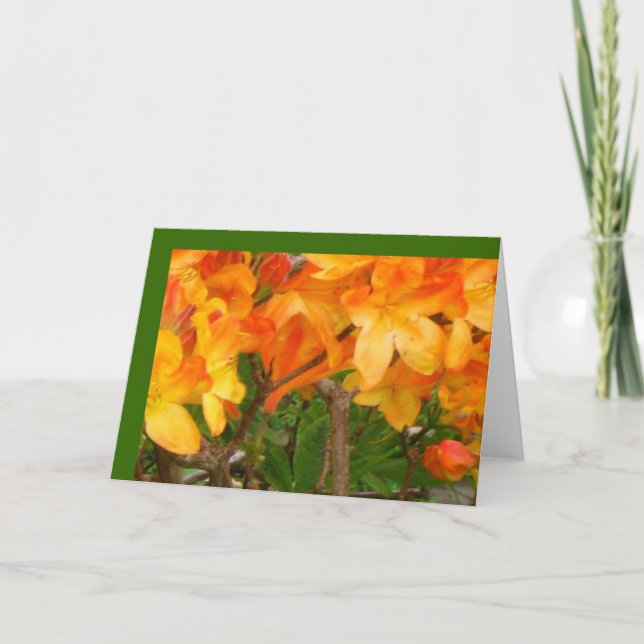 Orange kort för solskenfröjdhälsning (Framsida)