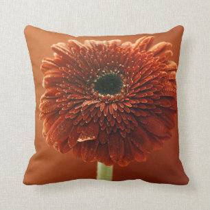Orange krysantemum kudde