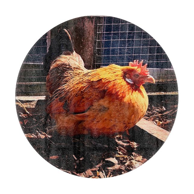Orange kyckling (Framsidan)