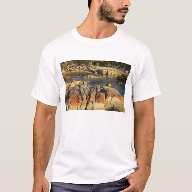 Orange lav på stenar, Binalong Bay, Bay of Tee Shirt (Framsida)