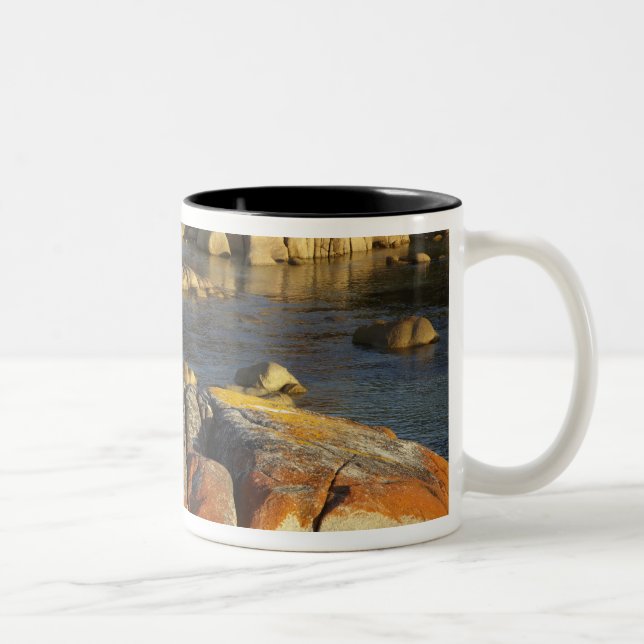 Orange lav på stenar, Binalong Bay, Bay of Två-Tonad Mugg (Höger)