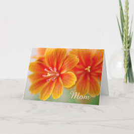 Orange Lewisia Blommigt Mors dag Kort