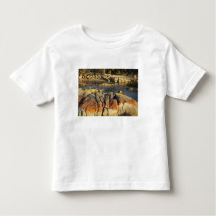 Orange Lichen on Sten, Binalong Bay, Bay of Bay T Shirt