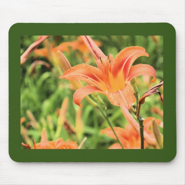 Orange Lilies Mörk grönt Gräns Musmatta (Framsidan)